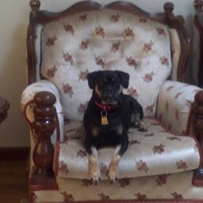 johuangsun's profile picture. 