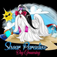 Shear Paradise Dog Grooming(@dog_shear51242) 's Twitter Profile Photo