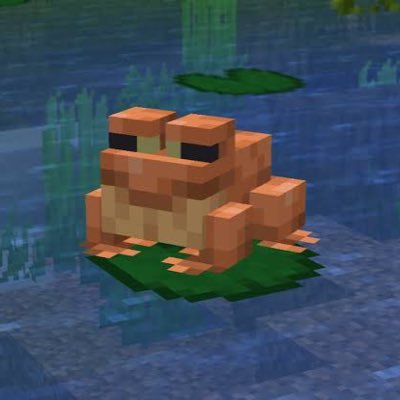 Py_builds Profile