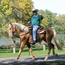 Jack Daniel - @goodoh7 - Twitter