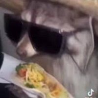 Otegi II 🐌🍄 (@otegius) 's Twitter Profile