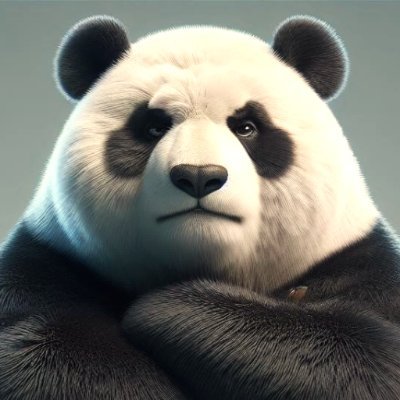 stoikpanda Profile Picture