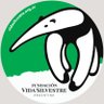 Vida_Silvestre's profile picture. 🌱 Nuestro compromiso es que las personas vivamos en armonía con la naturaleza. 🌎 Trabajamos en conservación hace +45 años. 🐼 Miembros de #WWF 💪 ¡Sumate!
