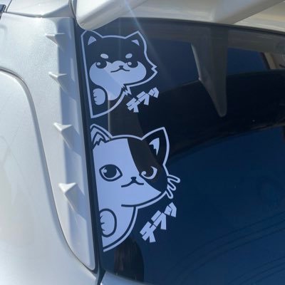 ミッションに乗りたくなってZC33Sに乗り換えと同時にTwitterデビュー!バイクはトライアンフのストリートツインに乗ってました。釣りも昔からやっていたけど子供がいるので中々ゆっくりと行けてない。無言フォロー失礼します。