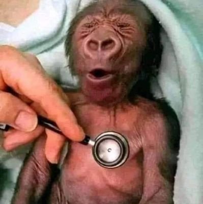 Africanasheriff's profile picture. Civil engineer