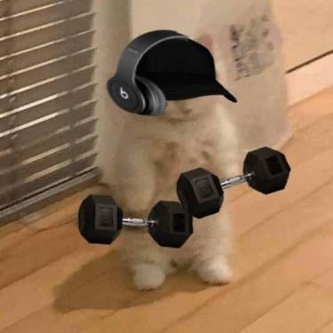 KapkotiShubham's profile picture. #justiceforankitabhandari
#उत्तराखंड_मांगे_भू_कानून