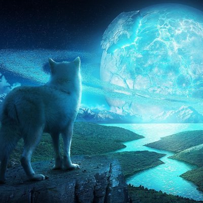 kinou696969's profile picture. La pour dire la vérité