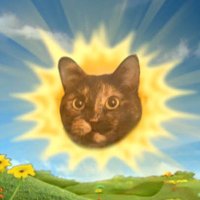 투투 (@tutusuniverse) 's Twitter Profile Photo 투투 (@tutusuniverse) 's Twitter Profile Photo