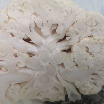 AnaLive39's profile picture. Uso Twitter para estar al día y compartir curiosidades.