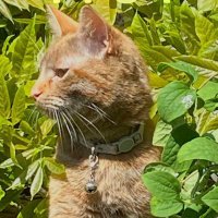 bwyan R (@bwyan63) Twitter profile photo