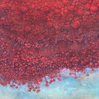 齋藤ひいな/ Hiina Saitoさんのプロフィール画像