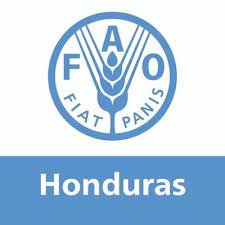 Oficina de la Representación de la Organización de las Naciones Unidas para la Alimentación y la Agricultura en Honduras que lucha contra el hambre y la pobreza