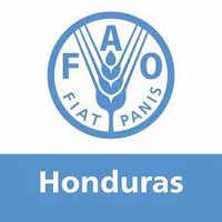 FAO HONDURAS(@FAOHonduras) 's Twitter Profile Photo