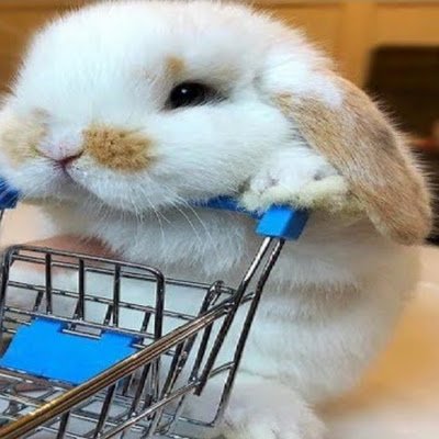 ChitraChou59722's profile picture. 