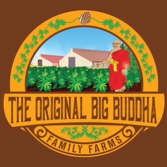 The true winner of the 19th Cannabis Cup 🏆 2006 - Big Buddha Cheese 🧀👑 IG @theogbigbuddha