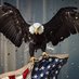 Proud American (@lorihal74910379) Twitter profile photo Proud American (@lorihal74910379) Twitter profile photo