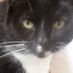Stella Rosenoff (@rosenoffst16750) Twitter profile photo Stella Rosenoff (@rosenoffst16750) Twitter profile photo