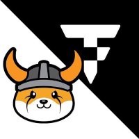 Floki Brasil (@flokiinubrasil) 's Twitter Profile Photo