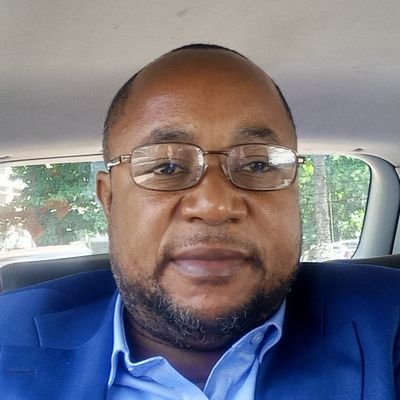 Consultant et Analyste en politique internationale , membre de la direction politique de l' UDPS depuis 2012 , Conseiller et porte-parole du P M Bruno Tshibala