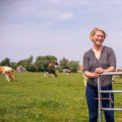 Boerin op Terschelling - biologische melkveehouderij - kamperen bij de boerin