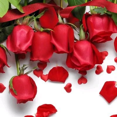 MichaelZha28932's profile picture. 