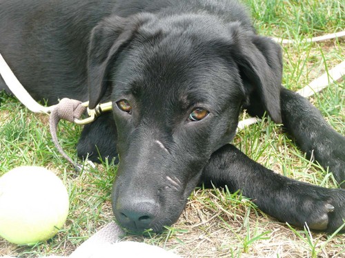 vjd99's profile picture. 