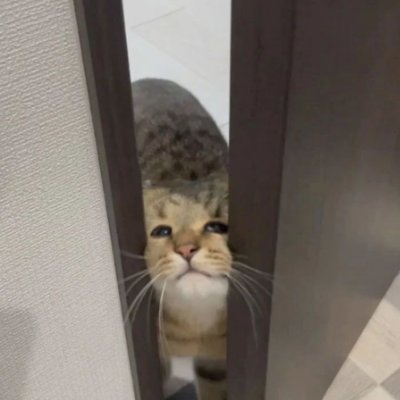 Robzyy02's profile picture. Bine ai venit rău ai nimerit.