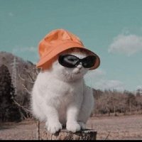 MaryamTarek☘️ (@maryamt88455919) Twitter profile photo