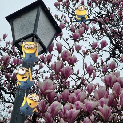 babylife67's profile picture. C'est pas parce qu'on ferme les yeux qu'on cesse d'exister 🕊 #babYarmY 🤝❤️‍🩹🔥 - Aime pour ton frère, ce que tu aimes pour toi même.