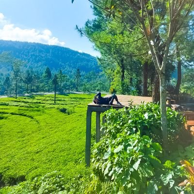 RichDNS5B's profile picture. 