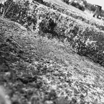 JosAndrsRiosFr1's profile picture. ❤️‍🔥