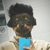 Darรญo ๐ฒ (@veecush) Twitter profile photo Darรญo ๐ฒ (@veecush) Twitter profile photo