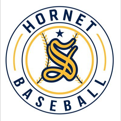 Hornet Baseball Profile