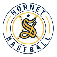Hornet Baseball (@salinehsbasebal) 's Twitter Profile