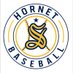 Hornet Baseball (@salinehsbasebal) Twitter profile photo Hornet Baseball (@salinehsbasebal) Twitter profile photo