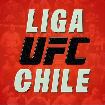 LigaUFCChile Profile Picture