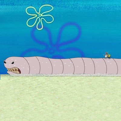 salmon___kd's profile picture. !!!!!!!!!!!!!!!!!리산 알 가입!!!!!!!!!!!!!!!!!