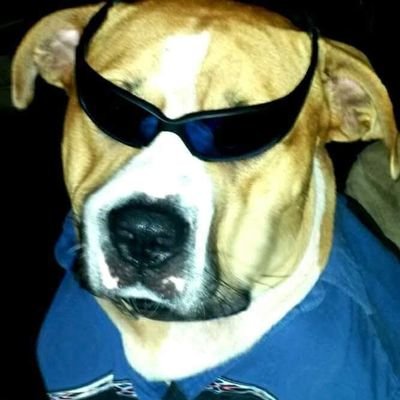 Twitch Affiliate||
Drop a follow show some love.||
TikTok https://t.co/igoLXM1ukw
Florida 850