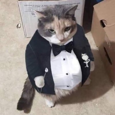 jin_san13780's profile picture. | すなずりかりんフアン |