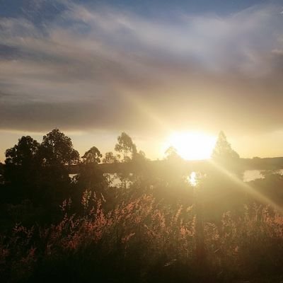 Maria4181555152's profile picture. 