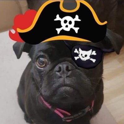 pirate_beowolf Profile Picture