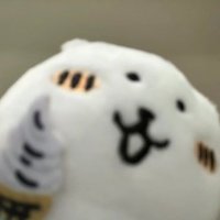 Echo (@echo63368473) 's Twitter Profile