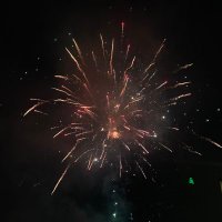 粤XXX (@h6337819757139) 's Twitter Profile Photo