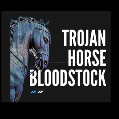 TrojanHorseBloodstock is part of TrojanHorsePartnership all of our Broodmares are boarded with Salcey Forest Stud - Small Breeders/Pinhookers