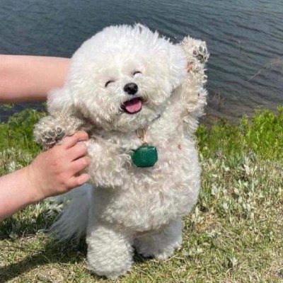 Yhwt7O's profile picture. ysfh13期 大学垢→@ryuunenyadayo