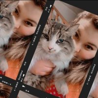 Solange Palacios 🐾💕 (@sol_palacios_m) 's Twitter Profile