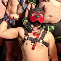 Pup Vex 🔜Darkland2025 (@pupper_v) 's Twitter Profile Photo Pup Vex 🔜Darkland2025 (@pupper_v) 's Twitter Profile Photo