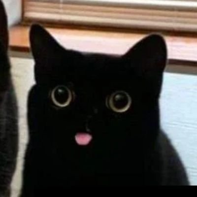 BentoBox90's profile picture. 🔞🔞NSFW. Minors DNI🔞🔞
Hi, I'm Bento! I'm 33, she/her and a huge Megaman X (X/Zero 💙❤️), Hades, Nu Carnival, AA, BG3 fan. Going to be posting NSFW here FYI.