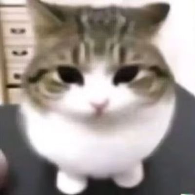 呀哈呀哈さんのプロフィール画像