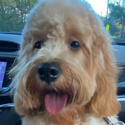 josemi_pas27525's profile picture. 